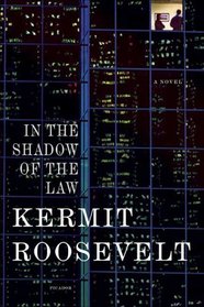 In the Shadow of the Law : A Novel