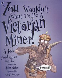 You Wouldn't Want to Be a Victorian Miner (You Wouldn't Want to Be)