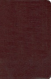 New Women's Devotional Bible: Burgundy, Bonded Leather