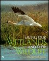 Saving Our Wetlands and Their Wildlife (First Book)