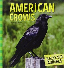 American Crows (Backyard Animals)