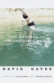 The Wonders of the Invisible World : Stories