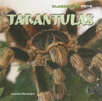 Tarantulas (Classroom Pets)