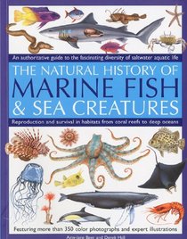Marine Fish: An authoritative guide to the fascinating diversity of saltwater aquatic life