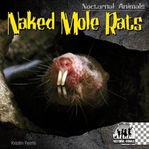 Naked Mole Rats (Nocturnal Animals)