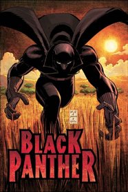 Black Panther: Who Is The Black Panther HC (Black Panther)
