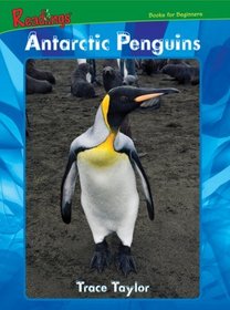 Antarctic Penguins (Marine Animals)