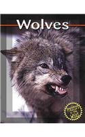 Wolves (Predators in the Wild)