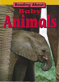 Baby Animals (Reading About)