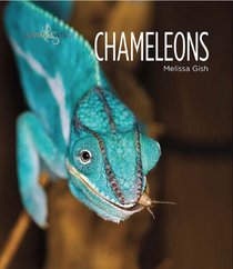 Living Wild: Chameleons