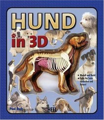 Hund in 3D