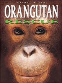 Orangutan Rescue