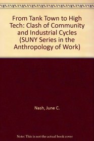 From Tank Town to High Tech: The Clash of Community and Industrial Cycles (Suny Series in the Anthropology of Work)