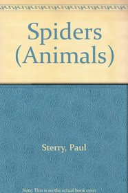 Spiders (Animals)