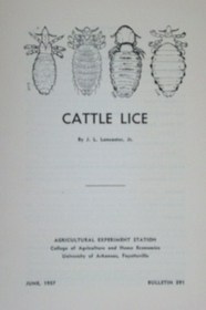 Cattle lice