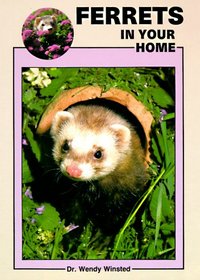 Ferrets in Your Home