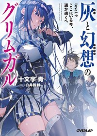 Grimgar of Fantasy and Ash (Light Novel) Vol. 9