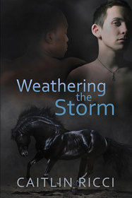 Weathering the Storm (Robbie & Sam, Bk 1)