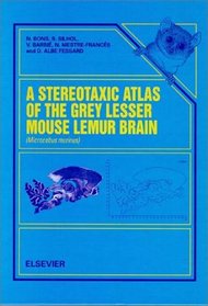 A Stereotaxic Atlas of the Grey Lesser Mouse Lemur Brain (ITMicrocebus murinus/IT)