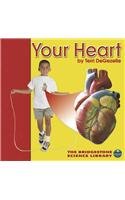 Your Heart (Bridgestone Science Library: Your Body)