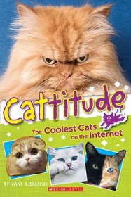 Cattitude, the Coolest Cats on the Internet