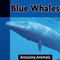 Blue Whales (Amazing Animals)