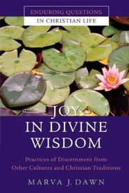 Joy in Divine Wisdom: Practices of Discernment from Other Cultures and Christian Traditions (Enduring Questions in Christian Life)