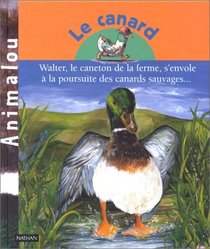 Le Canard : Walter, le caneton de la ferme, s'envole à la poursuite des canards sauvages