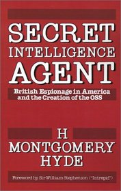 Secret Intelligence Agent