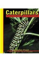 Caterpillars (Butterflies) (Frost, Helen, Butterflies.)