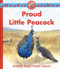 Proud Little Peacock