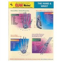 Hand & Wrist Anatomy EXAM Notes