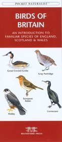Birds of Britain: An Introduction to Familiar Species of England, Scotland & Wales (Pocket Naturalist - Waterford Press)