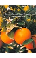 Compendium of Citrus Diseases (Compendium of Plant Disease Series) (Compendium of Plant Disease Series)