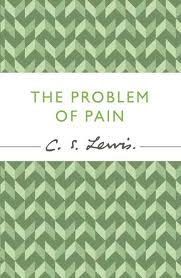 The Problem of Pain