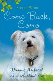 Come Back, Como: Winning the Heart of a Reluctant Dog