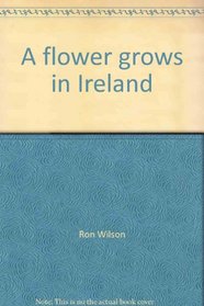 A flower grows in Ireland