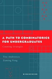 A Path to Combinatorics for Undergraduates : Counting Strategies