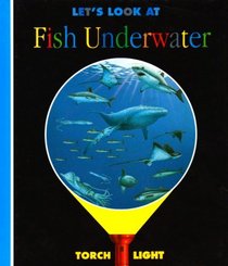 Let's Look at Fish Underwater (First Discovery/Torchlight)