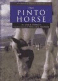 The Pinto Horse (Learning About Horses)