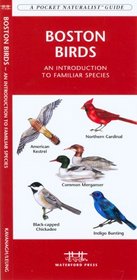 Boston Birds: An Introduction to Familiar Species of Boston MA (Pocket Naturalist - Waterford Press)