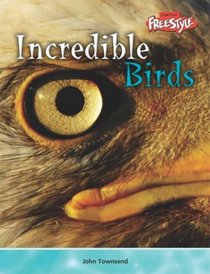 Incredible Birds (Incredible Creatures) (Incredible Creatures)