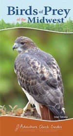 Birds of Prey of the Midwest (Adventure Quick Guides)
