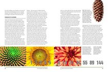 The Beauty of Numbers in Nature: Mathematical Patterns and Principles from the Natural World (MIT Press)
