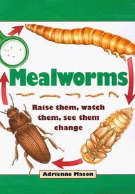 Mealworms: Raise Them, Watch Them, See Them Change