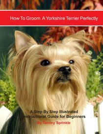How to Groom A Yorkshire Terrier Perfectly: A Step by Step Instruction Guide for Beginners