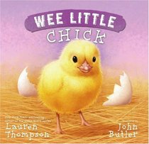 Wee Little Chick (Wee Little)