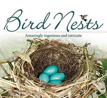Bird Nests: Amazingly Ingenious and Intricate