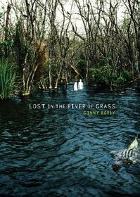 Lost in the River of Grass (Carolrhoda YA)