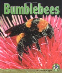 Bumblebees (Early Bird Nature Books)